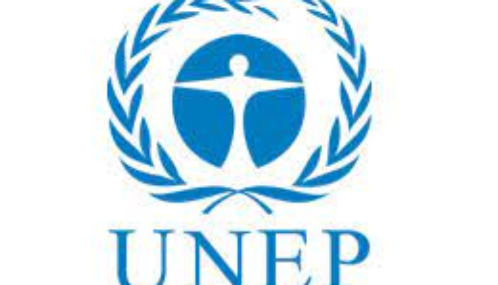 Finance and Budget Assistant Vacancy Job Ref: VACUNEP7129-34