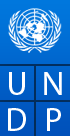 United Nations Development Programme (UNDP)